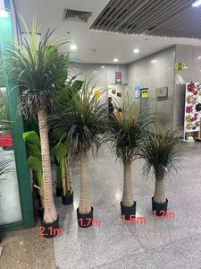 ต้นไม้ <span class=keywords><strong>yucca</strong></span> <span class=keywords><strong>rostrata</strong></span> เทียมสำหรับงานแต่งงานวันขอบคุณพระเจ้าโอกาสฮาโลวีนปีใหม่ - Product Image 4