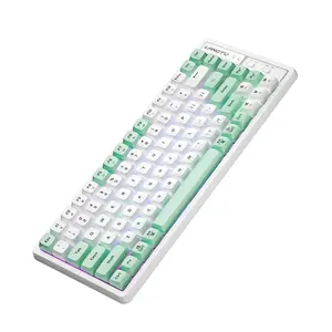 Teclado Sem Fio Rgb luce per tastiera meccanica tastiera da gioco blu interruttore senza fili tastiera per Mac