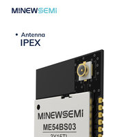 Module Bluetooth MinewSemi ME54BS03 nRF54L15 Nordic, communication Bluetooth longue portée de 170 m, contrôleurs de jeu et télécommandes