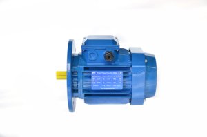 มอเตอร์เหนี่ยวนำไฟฟ้ากระแสสลับสามเฟสมาตรฐาน OEM 220V/380V กำลัง 15KW สำหรับปั๊มน้ำ 3000 รอบต่อนาที IP54/IP55 โครงเหล็กหล่อ - Product Image 4