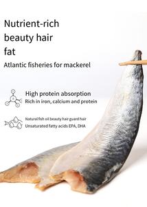 רטוב הטוב ביותר גבוהה סיבי nutrisource משומר כלב מזון מתכון ערכת קאט חתלתול רטוב מזון - Product Image 3