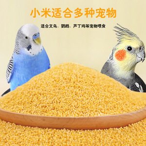 Alimentation pour oiseaux : Millet jaune décortiqué, haute valeur nutritive, pour moineaux de Java, perroquets, calopsittes, nourriture pour animaux de compagnie, écologique - Product Image 4