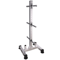 Support de rangement vertical multifonctionnel en acier pour plaques de poids, robuste et sûr, argenté, pour usage commercial et domestique, personnalisable, fourni directement par l'usine