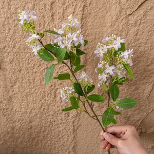 Flores Decorativas Artificiales Estilo INS del Fabricante para el Hogar, Bodas, Graduaciones, Día de San Valentín, Murraya <span class=keywords><strong>Paniculata</strong></span> de Larga Duración - Product Image 2