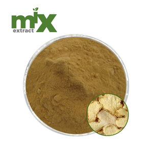 공장 공급 천연 식물 추출물 생강 뿌리 추출물 분말 10:1 20:1 30:1 50:1 최소 주문량 1kg - Product Image 1