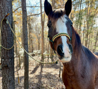 Équipement équestre occidental fait main, harnais de cheval durable, entraînement à l'équitation, licol réglable en corde, bande de nez perlée