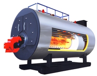 Chaudière à vapeur horizontale à tubes de feu basse pression de 1 tonne pour usines textiles, personnalisable avec économiseur