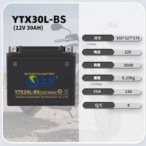แบตเตอรี่รถจักรยานยนต์ Shangwei รุ่น YTX30L-BS 12V 30Ah ชนิดตะกั่ว-กรด สำหรับรถจักรยานยนต์ - Product Image 4