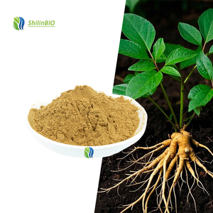 Extrait de Panax Ginseng, Extrait de Panax Quinquefolius, qualité alimentaire, 20% de ginsénosides - Product Image 1