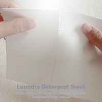 Feuilles de détergent à lessive avec enzyme et ion argent pour vêtements de sport Alternative à lessive pour savon en poudre