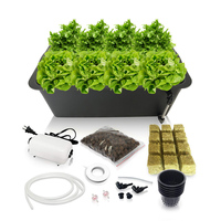 Kit d'accessoires pour système hydroponique DWC, système de culture hydroponique auto-arrosant pour intérieur, conteneur de plantation avec pompe à air pour la maison