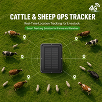 Traceurs d'animaux portables à énergie solaire, traceurs GPS intelligents pour bovins, moutons, positionnement en temps réel, Android, iOS, Windows, PC
