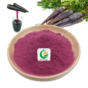 Wholesale Natural Pigment Purple Carrot Juice Extract Powder Freeze Dried Black Carrot Root Extract