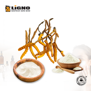 Extrait Herbal Actif Ophiocordyceps sinensis LiGNO OCS02 Certifié Halal et Casher, Meilleure Vente en Malaisie, OEM ODM - Product Image 1