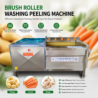 Machine à laver et à éplucher à rouleaux brosse haute efficacité pour l'équipement des usines de transformation des légumes-racines
