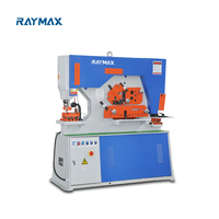 RAYMAX Machine à Travailler le Métal Multifonctionnelle Haute Performance Machine à Poinçonner Machine à Travailler le Métal Hydraulique CNC