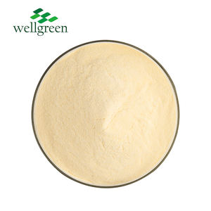 Wellgreen Supply <strong>Bromelain</strong> Juice Extract Leaf Freeze Dried Fruit Fermented Concentrate Pineapple Powder - Product Image 3