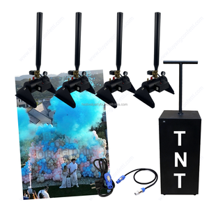 लिंग के लिए पर्यावरण के अनुकूल इलेक्ट्रॉनिक ब्लैक रिमोट कंट्रोल कंफेटी पाउडर तोप - Product Image 6