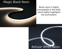 RGBW Nouveau Noir Silicone LED Néon 20*18mm 24V IP68 Spotless Wifi Télécommande pour Discothèque Salle de Jeu Logement RGBW Corde Lumière