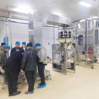 Machine verticale de remplissage et de scellage automatique ZL-180P pour sachets, avec pompe à piston, 20-100 sachets/min, pour sauces piquantes et pâtes, idéale pour les usines alimentaires de précision