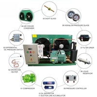 Unité de Condensation de Réfrigération à Compresseur pour Chambre Froide de Haute Qualité 25 CV 30 CV 35 CV, Idéale pour les Scénarios de Réfrigération