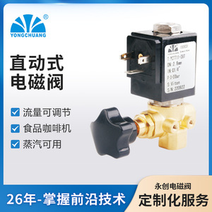 Yongchuang Solenoid Valve YCTT11-28 1/4 In Normally Closed Direct Acting For Steam And Food Use - Product Image 2