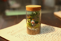 Bouteille en verre micro-paysage à tube droit, bouteille à mousse, vase en verre transparent pour plantes succulentes, bouchon en liège, pot scellé