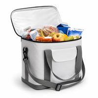 Sac isotherme pour déjeuner, grande capacité, imperméable, avec poche avant, bandoulière, pour les voyages en plein air, le camping