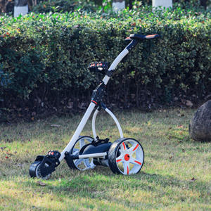 लोकप्रिय जर्मनी शैली गैर ब्रांडेड एल्यूमीनियम मुझे का पालन ऑटो नियंत्रण गोल्फ इलेक्ट्रिक ट्रॉली रिमोट - Product Image 1