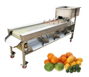 Usine nouvelle machine de tri de fruits et légumes de cerises de café prix de machine de tri de fruits machine de qualité alimentaire de haute qualité - Product Image 1