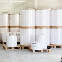 Etiqueta de código de barras semibrillante industrial Rollo gigante Etiqueta térmica autoadhesiva para impresión de envío para etiquetas y embalaje