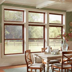 Năng lượng Sao cửa sổ duy nhất treo 30x60 duy nhất TREO CỬA SỔ giá rẻ nhà Bắc Mỹ biệt thự cửa nhôm và cửa sổ hiện đại - Product Image 5