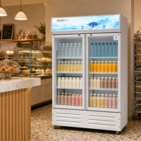 Vitrine réfrigérée verticale commerciale pour la présentation de boissons