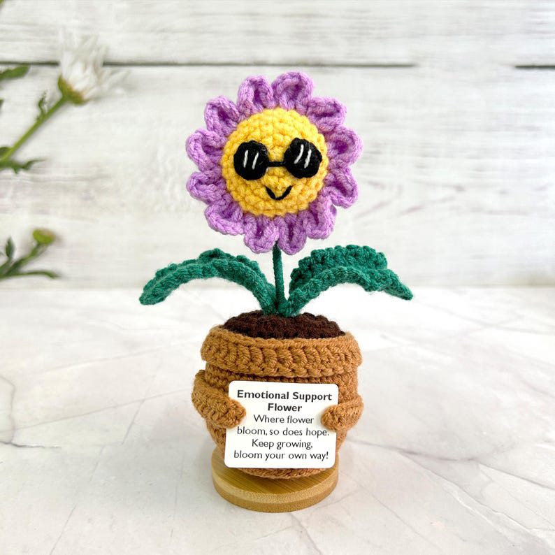 plante de marguerites à lunettes violettes (sans base)