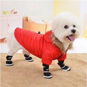 Abrigo de invierno para perros para <span class=keywords><strong>Chihuahua</strong></span>, capucha de piel suave, ropa para perros pequeños - Product Image 5