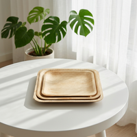 Ensemble de 4 assiettes carrées écologiques jetables en feuille d'arec, vaisselle carrée biodégradable en feuille de palmier, plateaux de traiteur, vente en gros