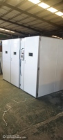 Prix compétitif Grande capacité Incubateur à œufs 10000 œufs Machine d'incubation d'œufs bon marché
