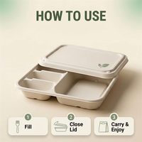 Boîte à lunch jetable TIANHE en pulpe de bagasse de canne à sucre biodégradable et compostable, 4 compartiments, 1000 ml, pour plats à emporter