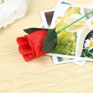 Accessoires <span class=keywords><strong>de</strong></span> <span class=keywords><strong>magie</strong></span> personnalisés Cadeaux <span class=keywords><strong>de</strong></span> la Saint-Valentin Roses FlowerTorch to Flower Fire Magic Tricks Flame Change en Rose - Product Image 2