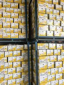 Exportador de ajo fresco / Vegetales de ajo fresco / Ajo / Ajo fresco al por mayor / Ajo fresco pelado en China - Product Image 5