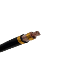 Cable de Control de Señal Industrial con Blindaje de Cobre Trenzado, Cable de Instrumentos de PVC Anti-interferencias para Equipos de Automatización