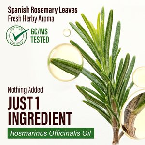 Huile capillaire de romarin 100 % pure et naturelle en gros, petits flacons d'huile essentielle pour les soins capillaires cosmétiques - Product Image 4