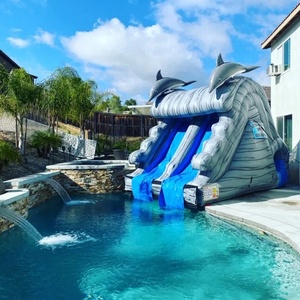 Regalo de cumpleanos Para ninos Para ninos piscina hinchable tobogan de Agua de Patio trasero tobogan de Agua - Product Image 3