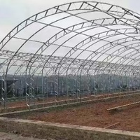 Grande serre pour la culture de légumes Solaires en polycarbonate et poulailler Équipement agricole pour jardins et fermes