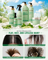 Shampooing et après-shampoing pour cheveux bouclés personnalisés en marque propre, ensemble de soins 6-en-1, menthe et concombre, hydratation intense, soins capillaires de salon