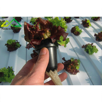 Système hydroponique à tuyaux en PVC multicouches |   Solution de serre modulaire pour la culture verticale de fraises et d'herbes