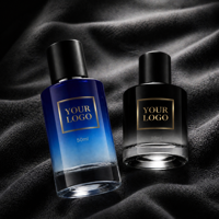 Op maat gemaakte Heren Eau De Parfum Langdurige 12 uur houdbare houtachtige muskusgeur 100ml spray voor dagelijks gebruik op kantoor, op maat gemaakt merkparfum OEM