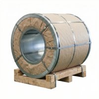 Bobina de Acero con Recubrimiento de Al-Zn por Inmersión en Caliente, Certificada ISO 9001, Estándar JIS, Recubrimiento de Aleación de Aluminio y Zinc al 55% (Z120-Z600), Color Plateado