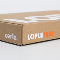 Boîte à lettres en papier kraft à rabat personnalisé, motifs imprimés à l'écran, logo personnalisable, carton d'expédition pour cadeaux en carton ondulé