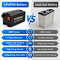 Paket Baterai Golf Cart LiFePO4 48V 51.2V 65Ah IP65 Daya Tinggi Siklus Dalam untuk Mobil Golf Listrik 2, 4, dan 6 Kursi, Output Stabil, OEM
